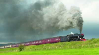 Steam Video 190 and Video Track 219